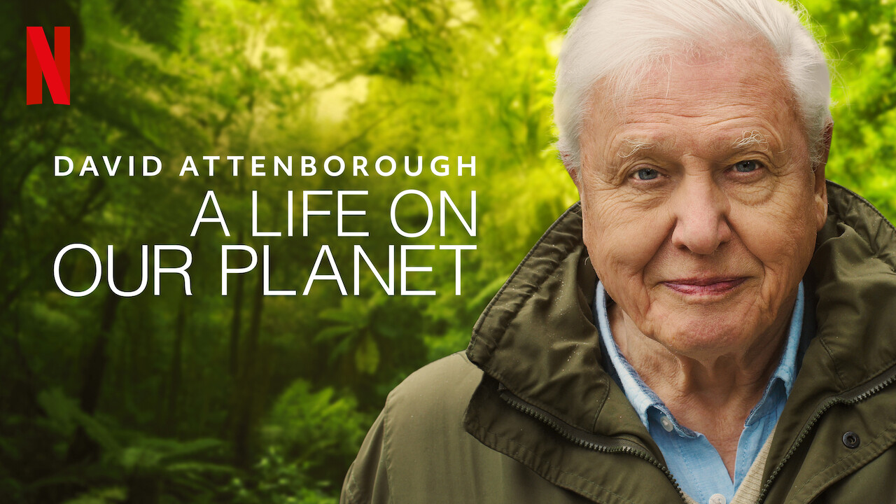 David Attenborough: A Life On Our Planet - Earth To Humankind