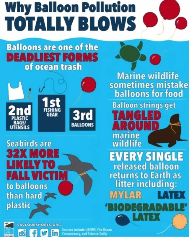 Balloon pollution 🎈🎈🎈