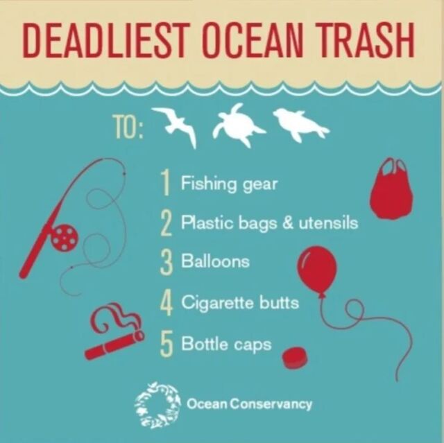 [Do you know which are the deadliest ocean trash ?] 🌊🗑

@oceanconservancy
